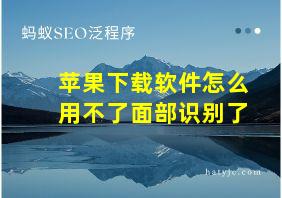 苹果下载软件怎么用不了面部识别了