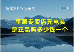 苹果专卖店充电头是正品吗多少钱一个