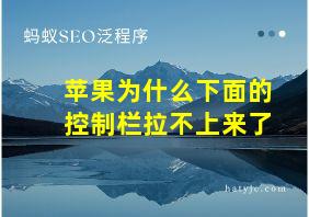 苹果为什么下面的控制栏拉不上来了