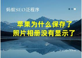 苹果为什么保存了照片相册没有显示了