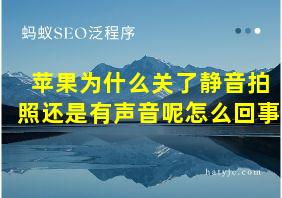 苹果为什么关了静音拍照还是有声音呢怎么回事