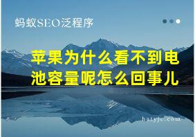 苹果为什么看不到电池容量呢怎么回事儿