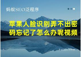 苹果人脸识别弄不出密码忘记了怎么办呢视频