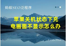 苹果关机状态下充电画面不显示怎么办