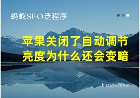 苹果关闭了自动调节亮度为什么还会变暗