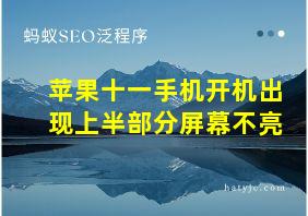 苹果十一手机开机出现上半部分屏幕不亮