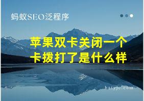 苹果双卡关闭一个卡拨打了是什么样