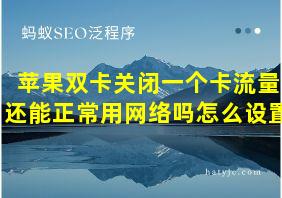 苹果双卡关闭一个卡流量还能正常用网络吗怎么设置