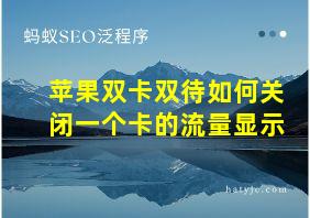 苹果双卡双待如何关闭一个卡的流量显示