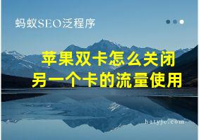 苹果双卡怎么关闭另一个卡的流量使用