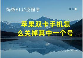 苹果双卡手机怎么关掉其中一个号