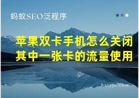 苹果双卡手机怎么关闭其中一张卡的流量使用