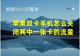 苹果双卡手机怎么关闭其中一张卡的流量