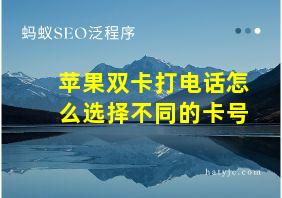 苹果双卡打电话怎么选择不同的卡号