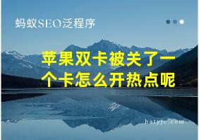 苹果双卡被关了一个卡怎么开热点呢