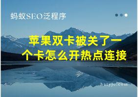 苹果双卡被关了一个卡怎么开热点连接