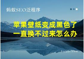 苹果壁纸变成黑色了一直换不过来怎么办