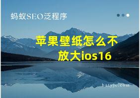 苹果壁纸怎么不放大ios16