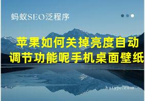 苹果如何关掉亮度自动调节功能呢手机桌面壁纸