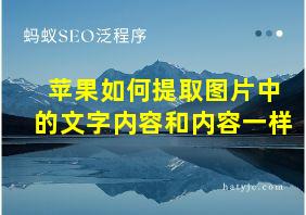 苹果如何提取图片中的文字内容和内容一样