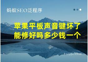 苹果平板声音键坏了能修好吗多少钱一个