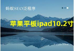 苹果平板ipad10.2寸