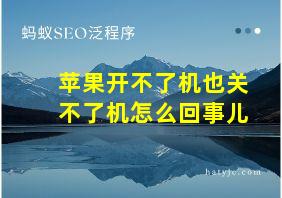 苹果开不了机也关不了机怎么回事儿