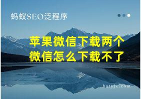 苹果微信下载两个微信怎么下载不了