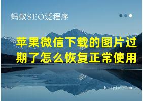 苹果微信下载的图片过期了怎么恢复正常使用