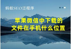 苹果微信中下载的文件在手机什么位置