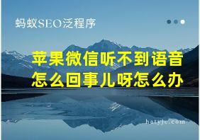 苹果微信听不到语音怎么回事儿呀怎么办