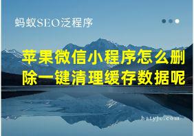 苹果微信小程序怎么删除一键清理缓存数据呢