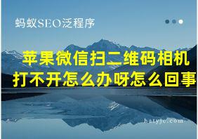 苹果微信扫二维码相机打不开怎么办呀怎么回事