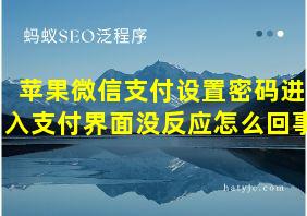 苹果微信支付设置密码进入支付界面没反应怎么回事