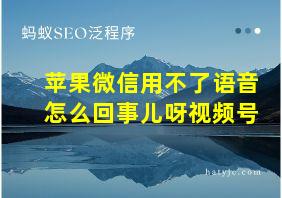 苹果微信用不了语音怎么回事儿呀视频号