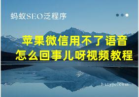 苹果微信用不了语音怎么回事儿呀视频教程