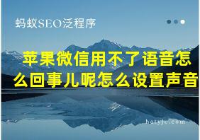 苹果微信用不了语音怎么回事儿呢怎么设置声音