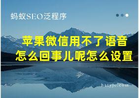 苹果微信用不了语音怎么回事儿呢怎么设置