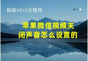 苹果微信视频关闭声音怎么设置的