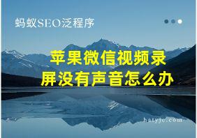 苹果微信视频录屏没有声音怎么办