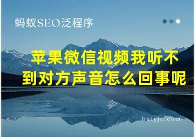 苹果微信视频我听不到对方声音怎么回事呢