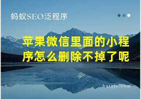 苹果微信里面的小程序怎么删除不掉了呢