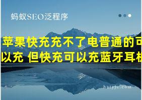 苹果快充充不了电普通的可以充 但快充可以充蓝牙耳机