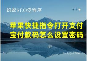 苹果快捷指令打开支付宝付款码怎么设置密码