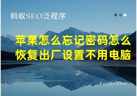 苹果怎么忘记密码怎么恢复出厂设置不用电脑