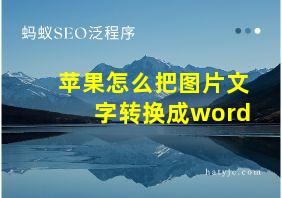 苹果怎么把图片文字转换成word