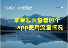 苹果怎么查看哪个app使用流量情况