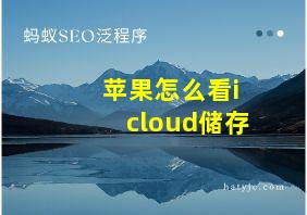 苹果怎么看icloud储存