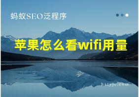 苹果怎么看wifi用量