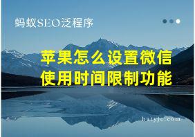 苹果怎么设置微信使用时间限制功能